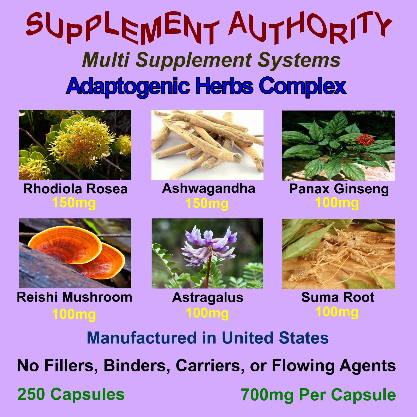 Rhodiola Ashwagandha Panax Ginseng Reishi Mushroom Astragalus Suma Root ~ NEW!
