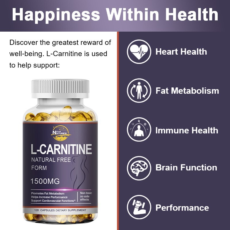 Acetyl L-Carnitine Fat Burner Weight Loss Antioxidant High Potency Supplement