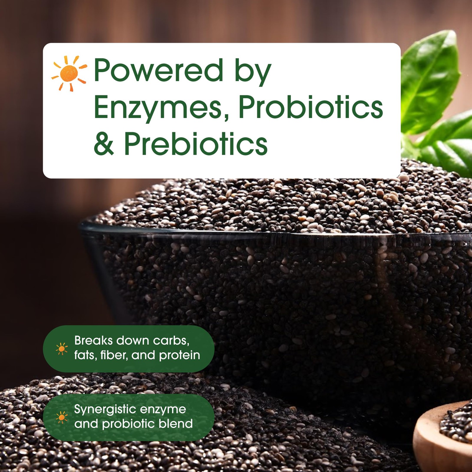 Digestive Enzymes – 240 Capsules – Gut & 240 Count (Pack of 1)