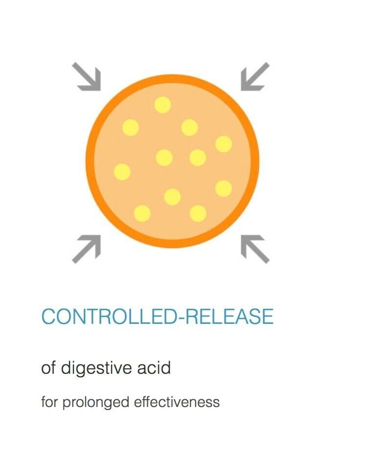 NeoLife Beta-Gest Digestive Aid | All Natural Acid Reflux & Indigestion Support