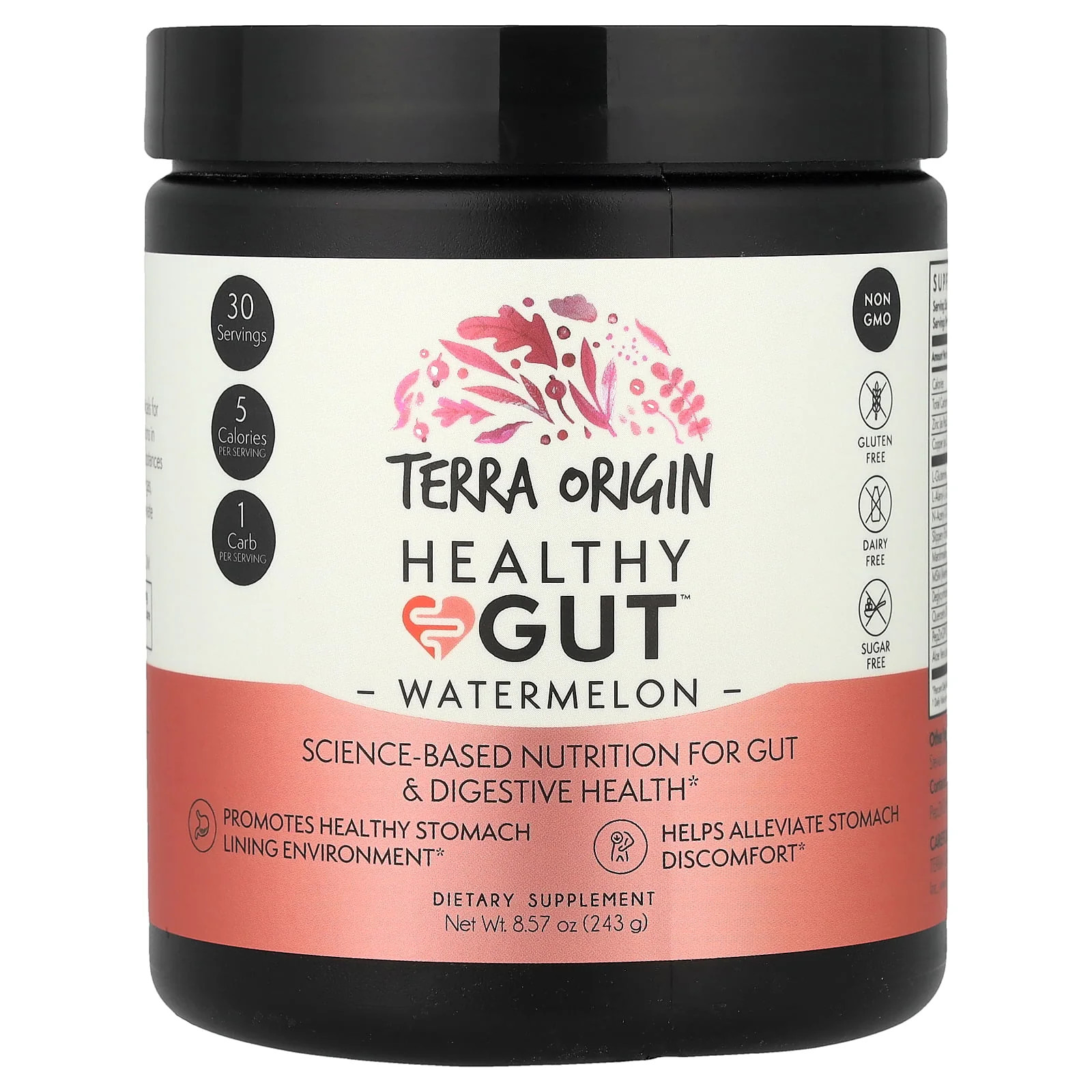 2 X Terra Origin, Healthy Gut�, Watermelon, 8.57 oz (243 g)