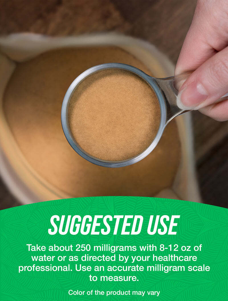 BulkSupplements Milk Thistle Extract Powder – Support Healthy Liver Function
