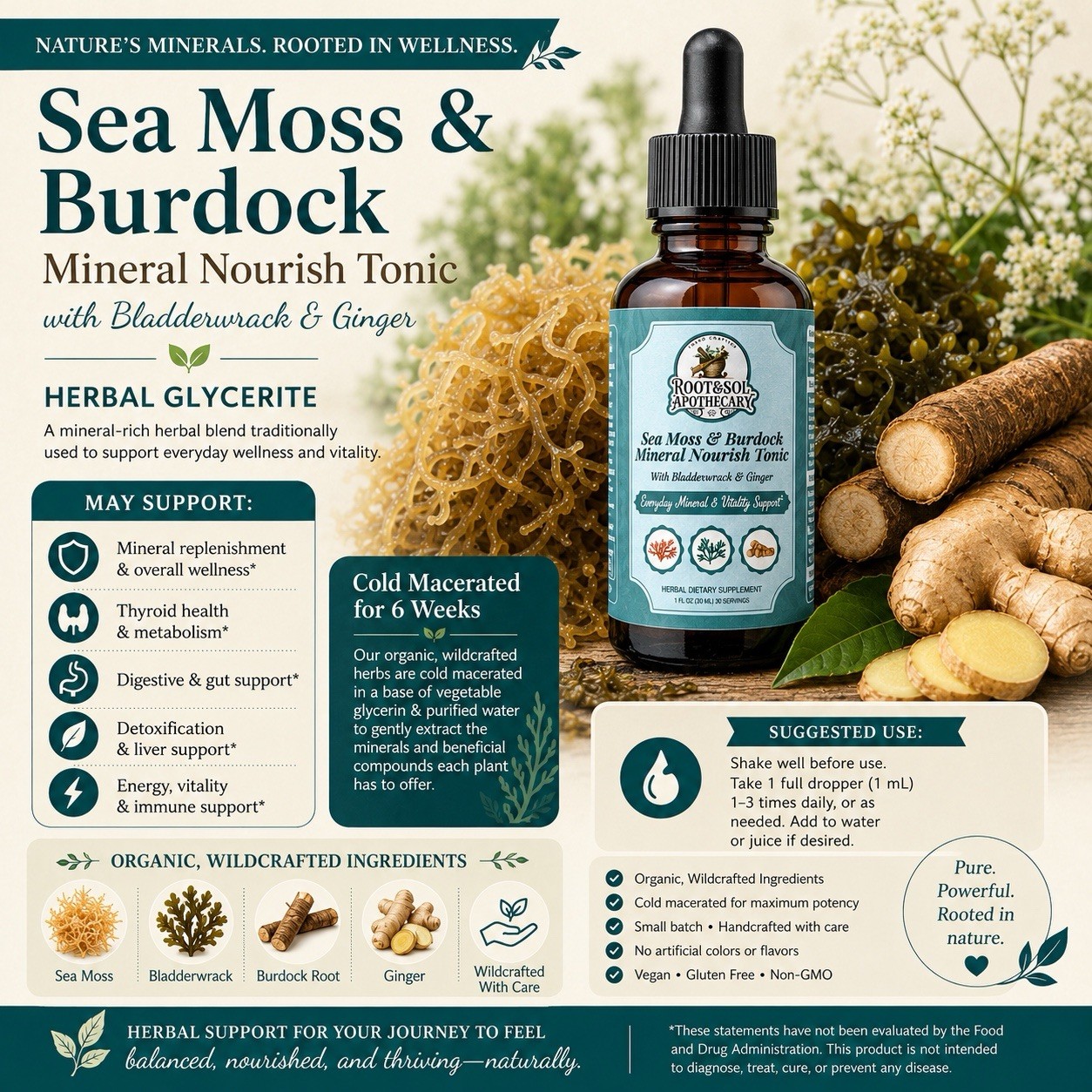 Root&Sol Apothecary Sea Moss Burdock Bladderwrack Ginger Tonic 1 fl oz