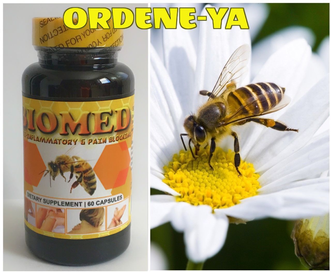 BIOMED Kit Anti-Inflammatory Bee Therapy Arthritis Pain Muscle Menthol Miracle