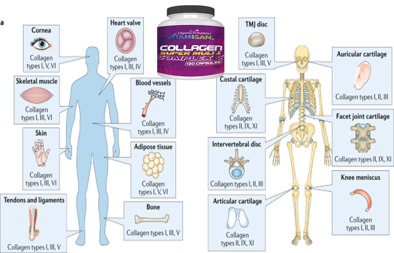 4 Hydrolized Collagen, Vitamin C CAPS, hidrolizado, colageina 10, colageno 480 c