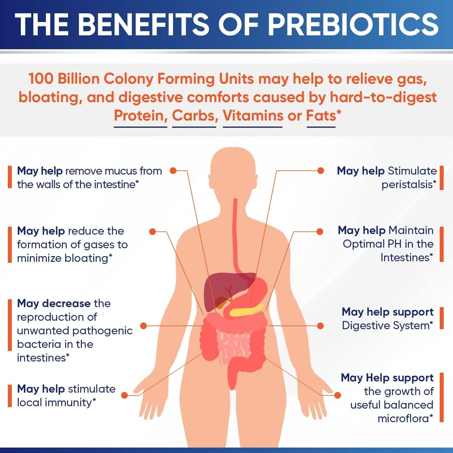 Shelf Stable Organic Probiotics – 100 Billion CFU for Optimal Health Support