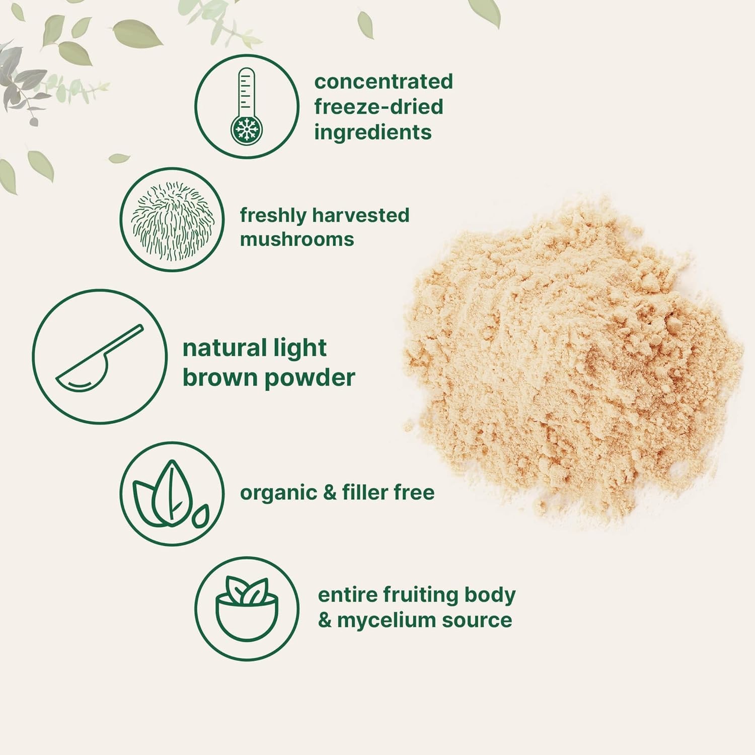 2Pk Micro Ingredients Organic Lion’s Mane Mushroom Powder Natural Superfood 2lb