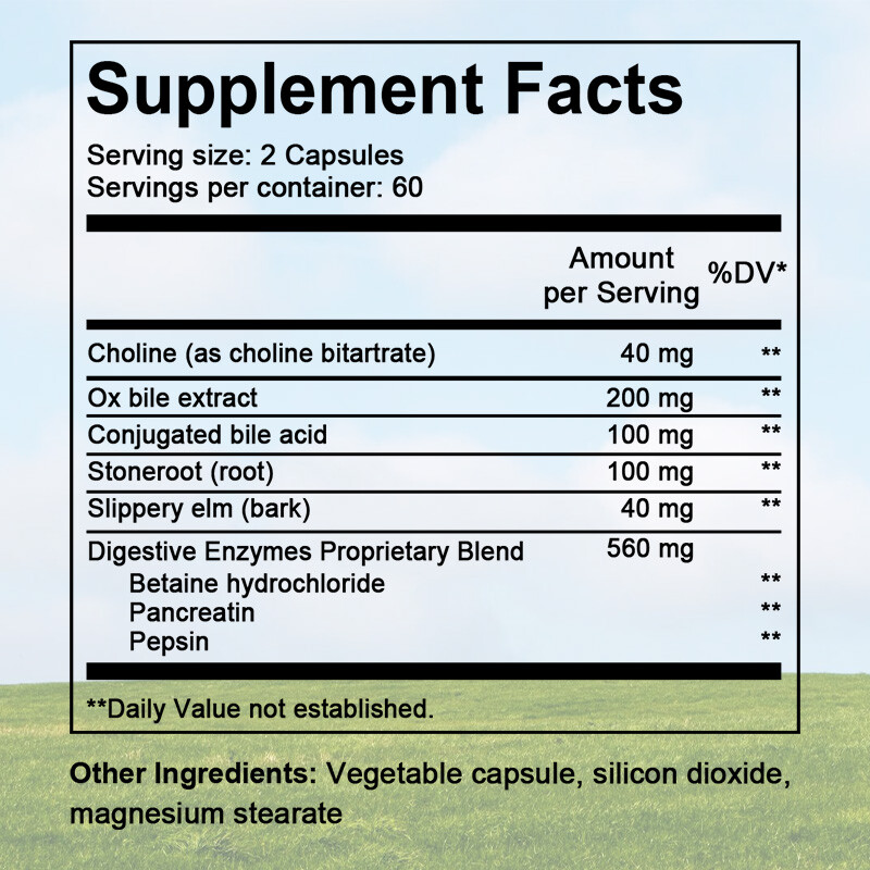 Gallbladder Formula Made w/Purified Bile Salts & Ox Bile Digestive Enzymes