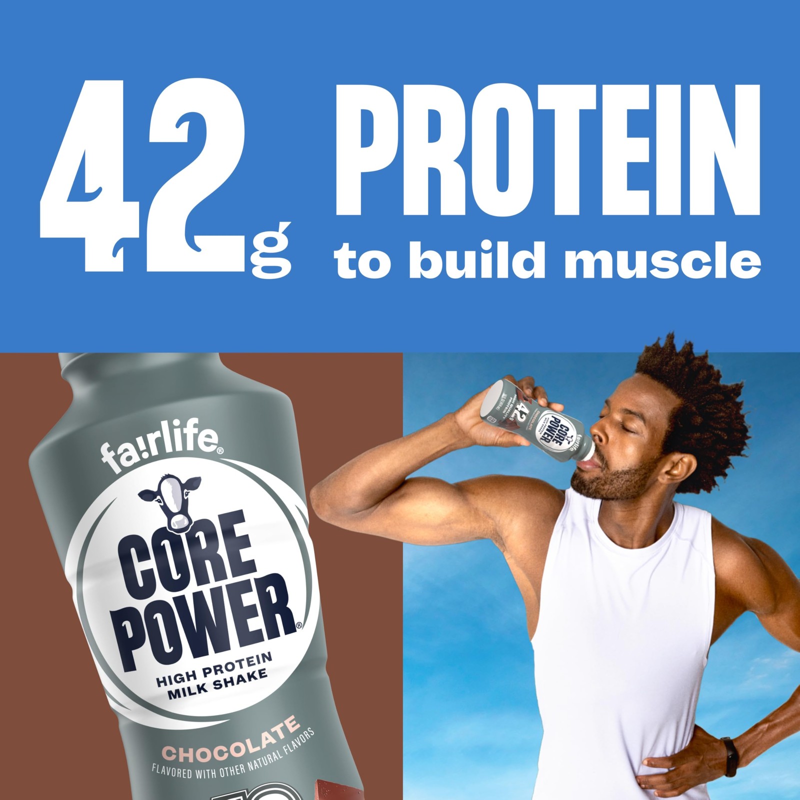 Core Power Elite High Protein Shake, 14 Fl Oz (Pack of 12), Chocolate