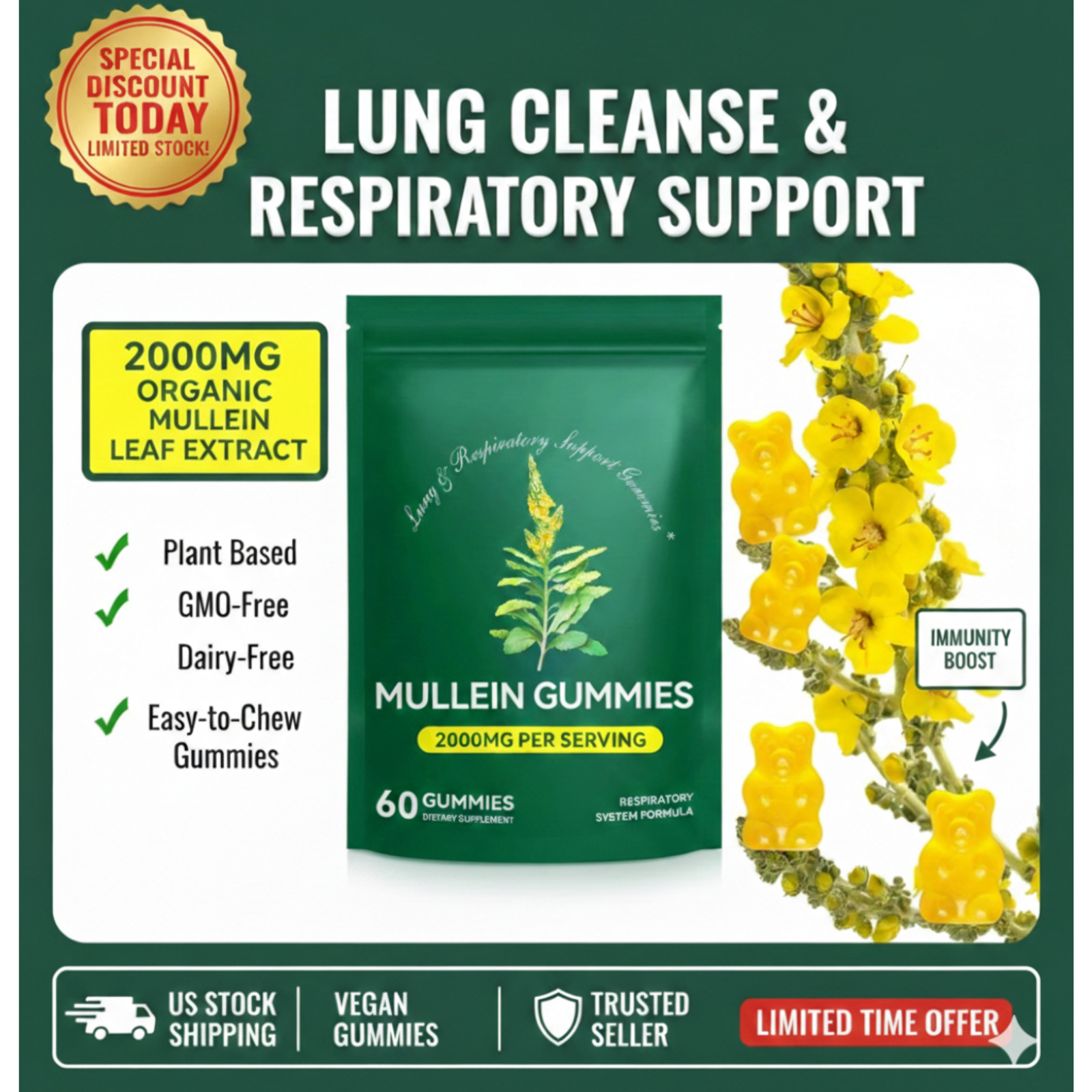 60 Count Mullein Gummies for Lung Cleanse, 2000mg Organic Mullein Leaf Extract f