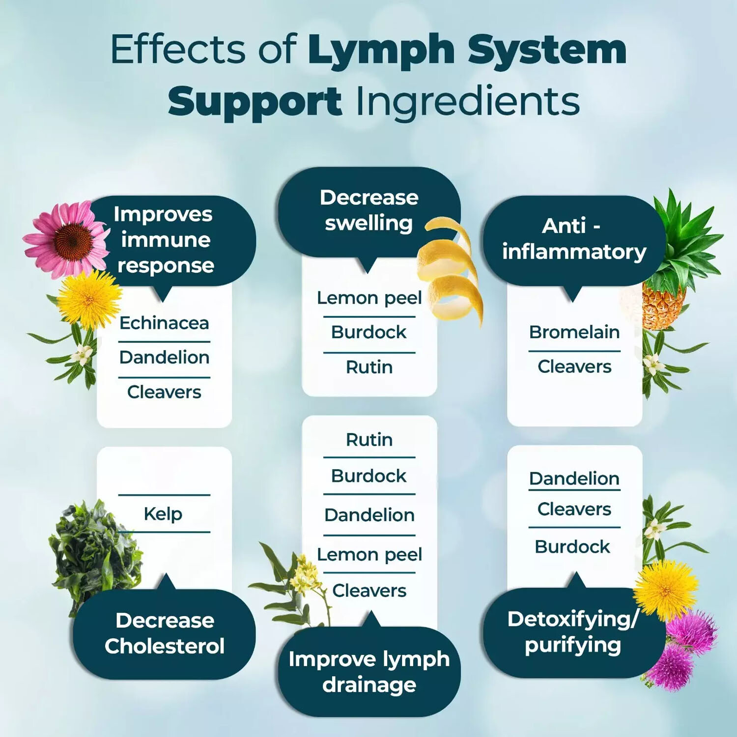 PureHealth Reduce Lymph Research – Lymphatic Swelling, System help Supplement