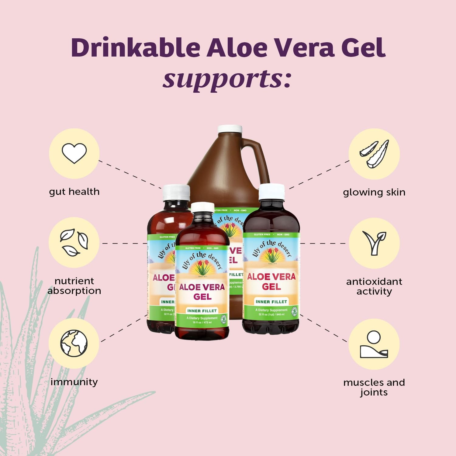 Aloe Vera Gel – Inner Fillet Filtered Aloe Vera Drink, Thicker Consistency,Di…