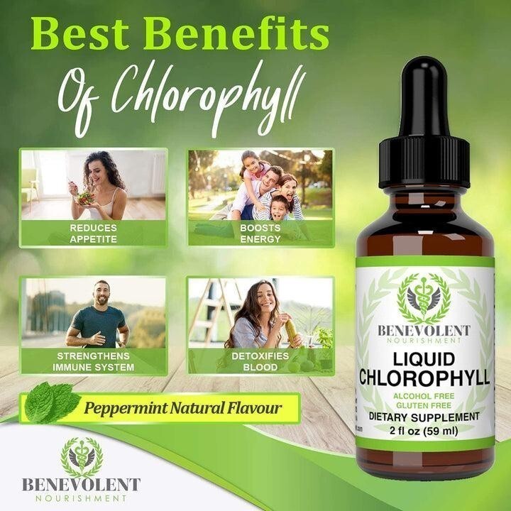 NEW Benevolent Nourishment Liquid Chlorophyll Herbal Supplement 2 oz