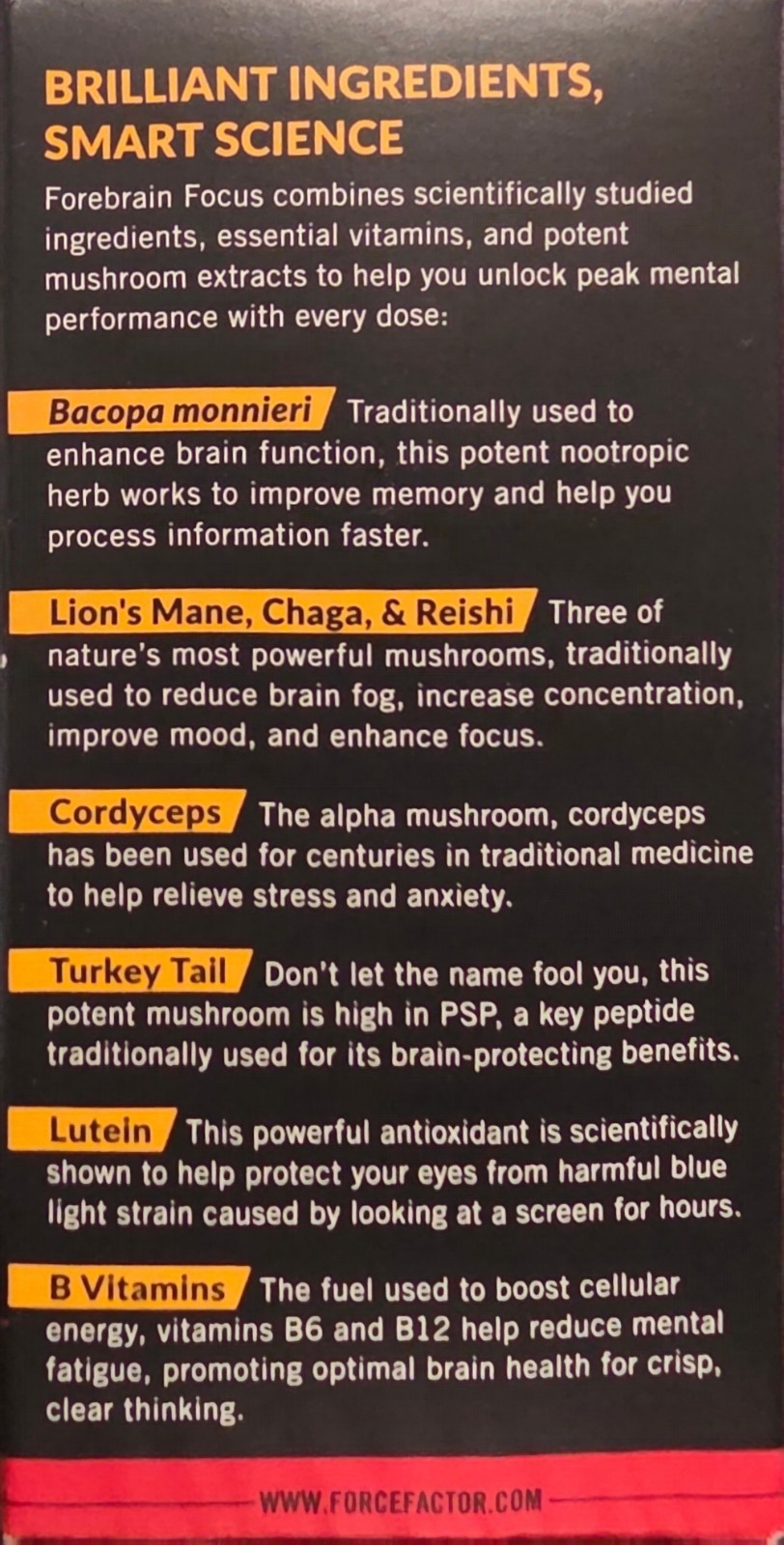 Force Factor Forebrain Focus Brain Booster – Increase Productivity Exp 3/2028