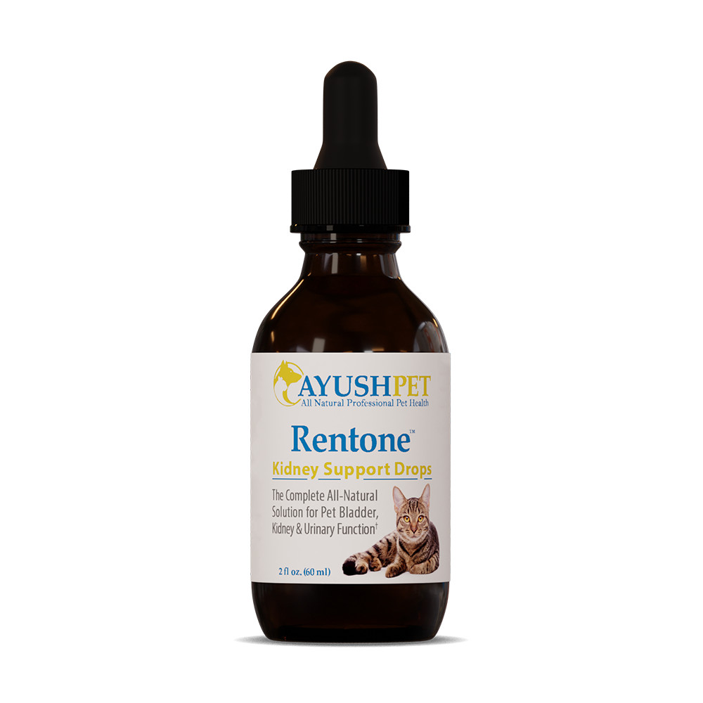 Ayush Rentone Drops Vet Herbs Kidney & Urinary, Dogs & Cats 2 fl oz – Newest Exp