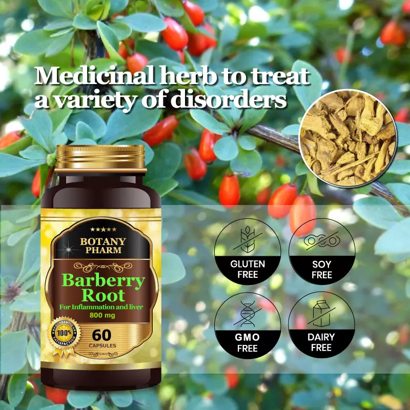 Barberry Root, All Natural, For Inflammation and Liver, Anti-Inflammatory