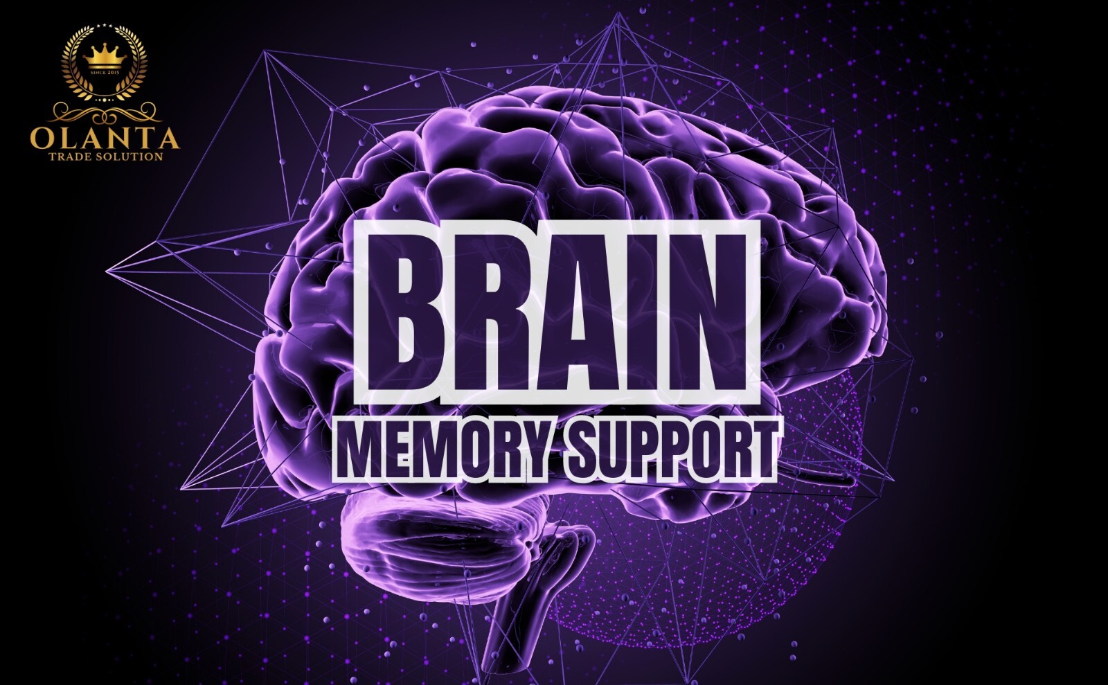 MIND MATRIX – Memory & Focus Brain Supplement Support, Brain Supplement for Ment