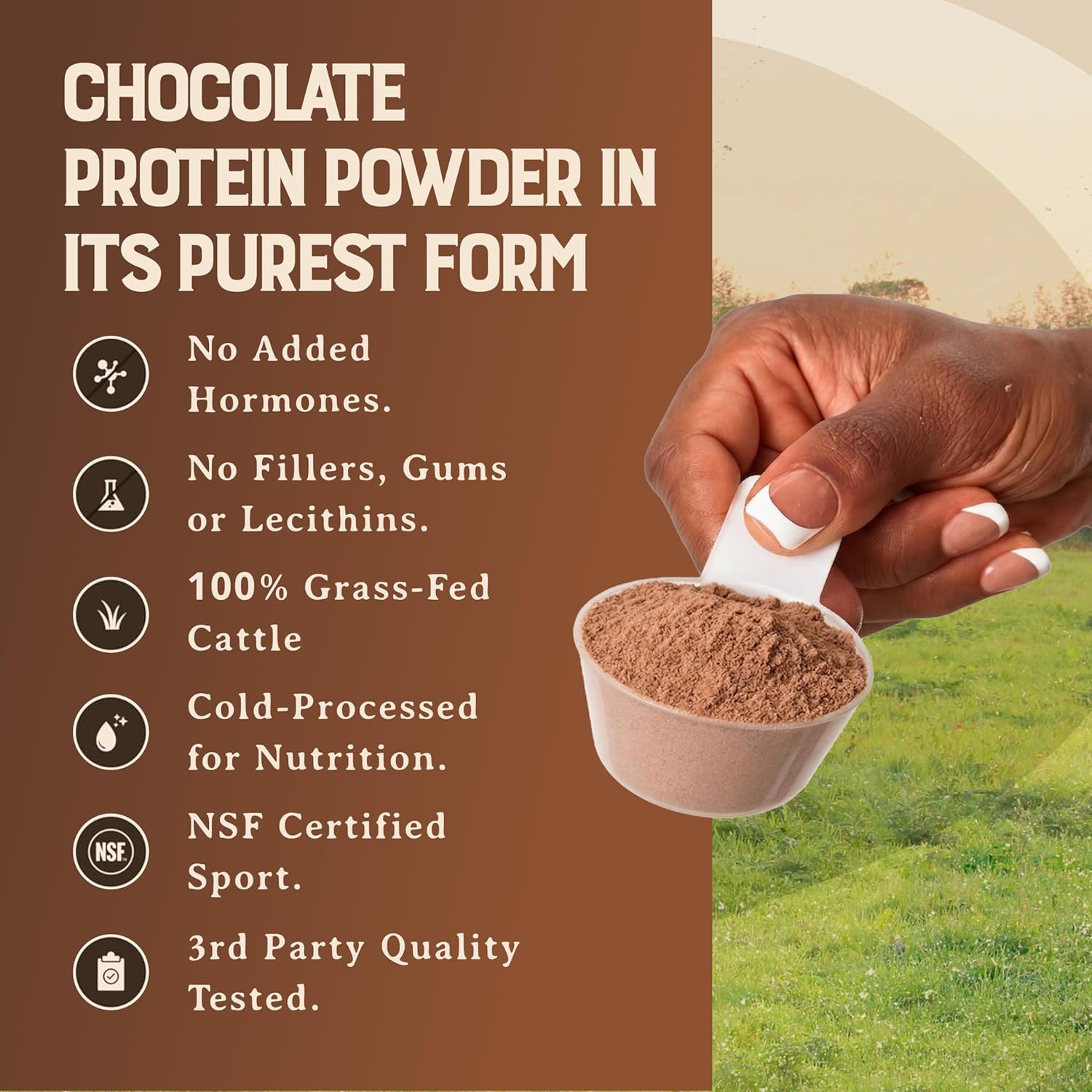 100% Grass Fed Whey Chocolate Protein Powder – Only Four Ingrediants, Absolutely