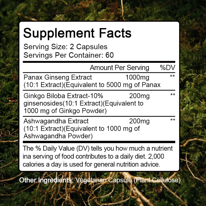 Ginkgo Biloba + Ginseng Extract 360ct Red Panax Focus Brain Memory Metabolism