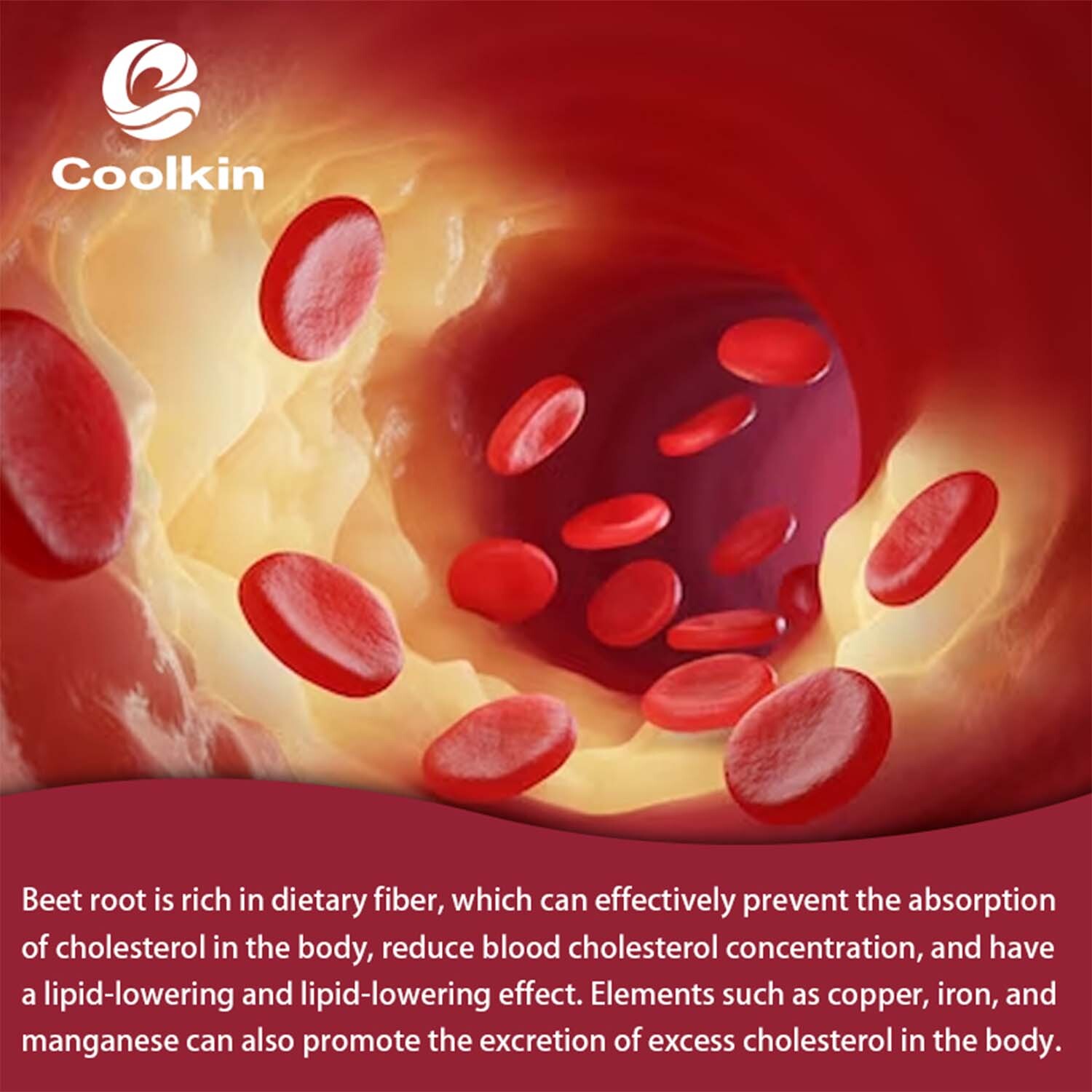 Beet Root-Nitric Oxide Booster, Energy & Vitali, Heart & Blood Pressure Health