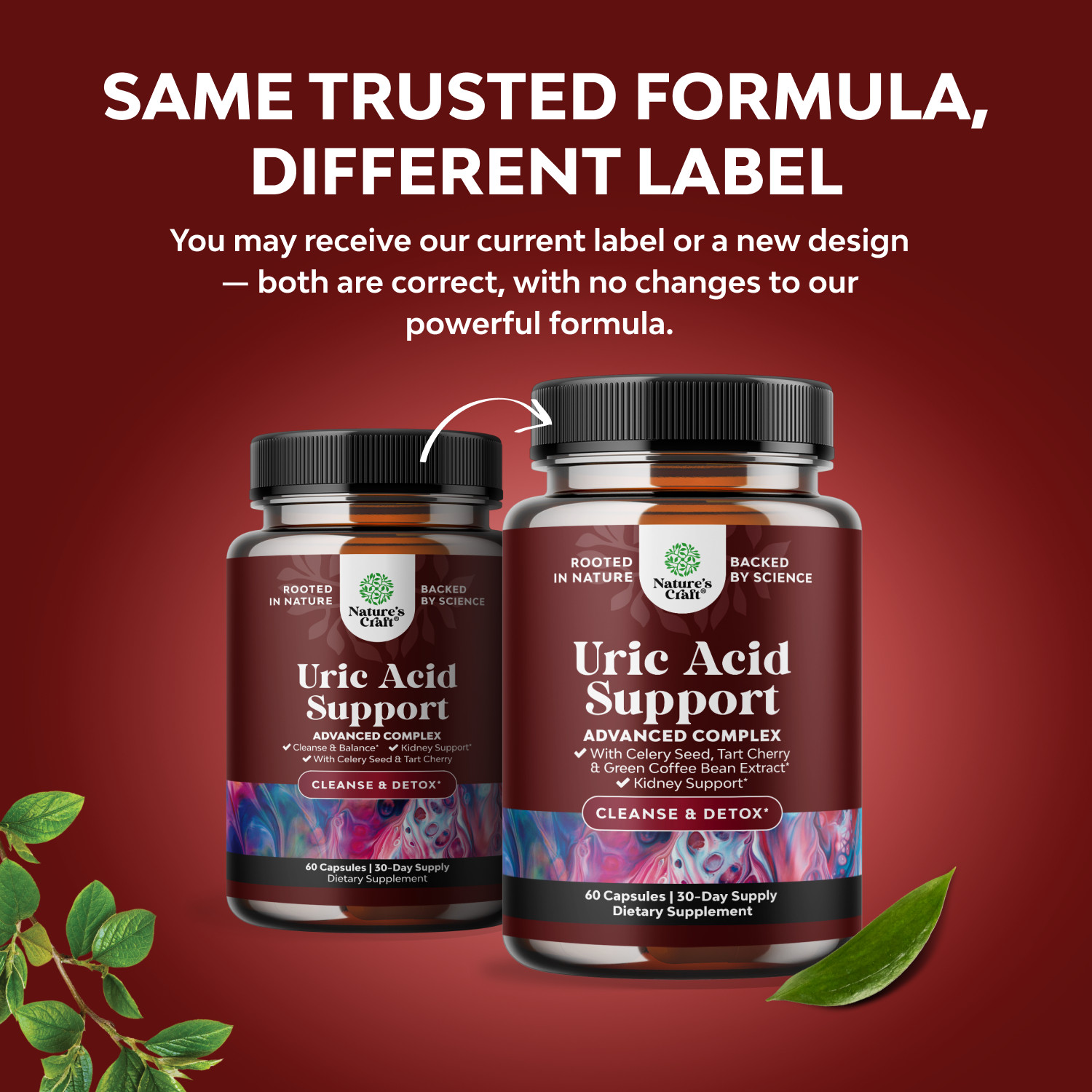 Herbal Uric Acid Cleanse and Detox – Essential Daily Kidney Cleanse