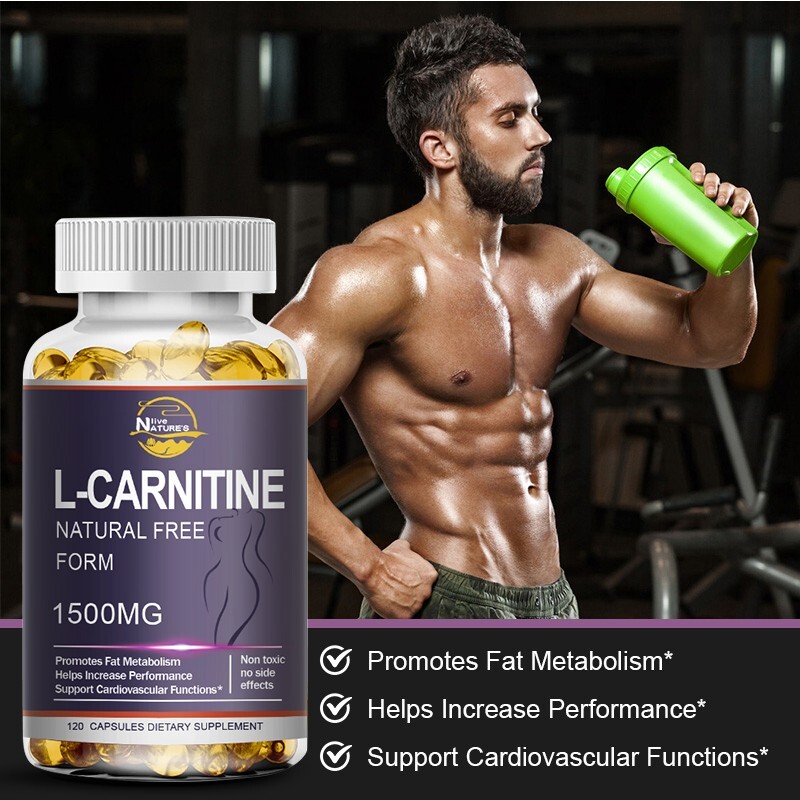 Acetyl L-Carnitine Fat Burner Weight Loss Antioxidant High Potency Supplement