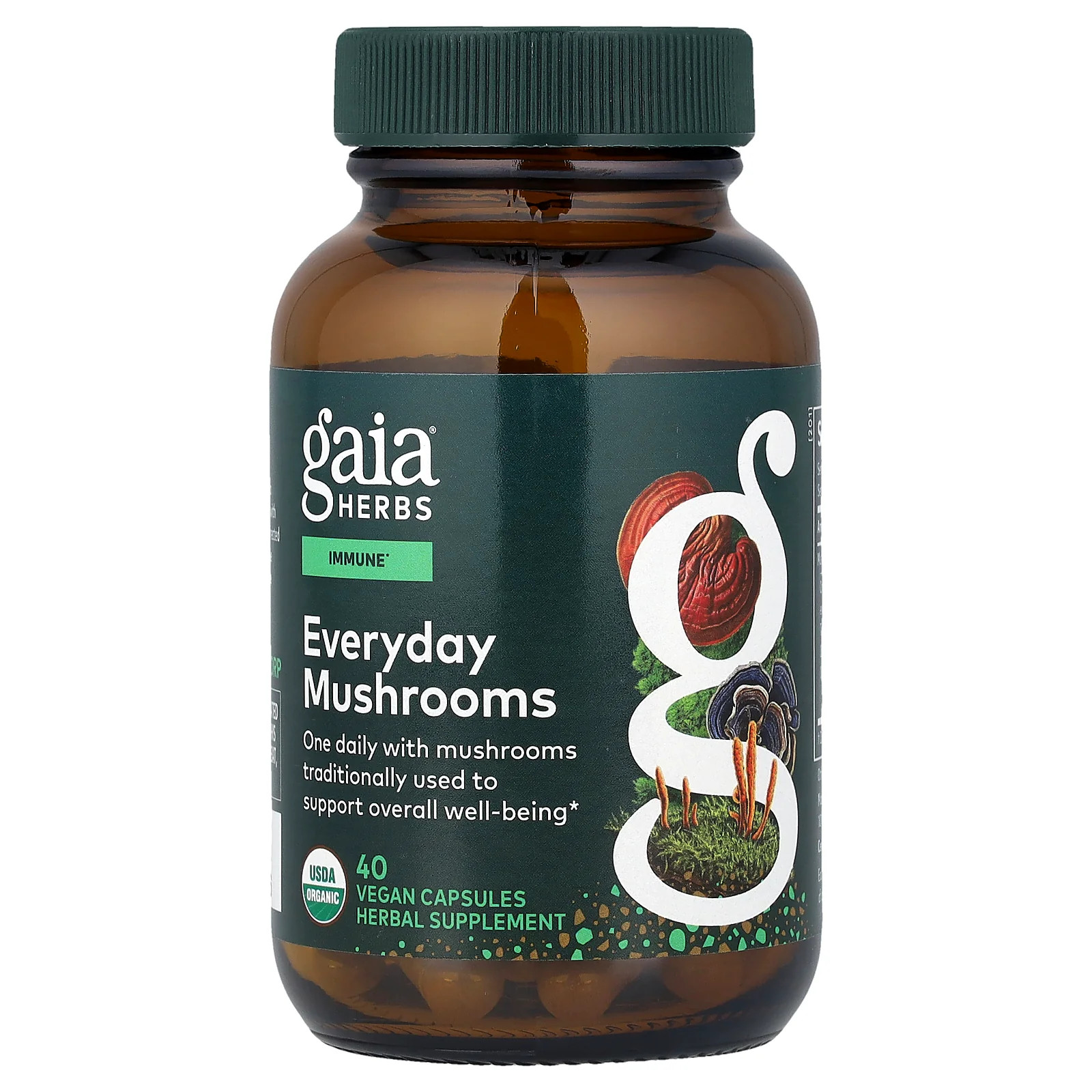 2 X Gaia Herbs, Everyday Mushrooms, 40 Vegan Capsules