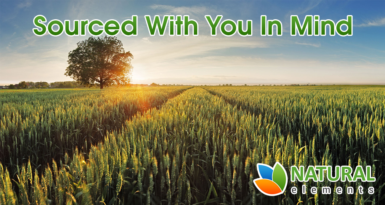 Wheatgrass Powder – USDA Certified Organic Wheat Grass Powder
