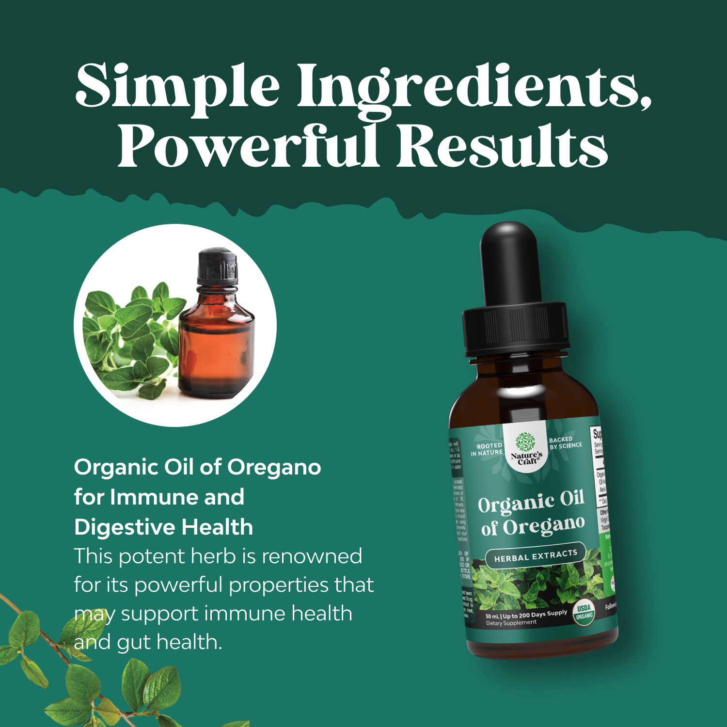 Oregano Oil Organic Liquid Drops for Adults and Kids – Super Concentrated USDA