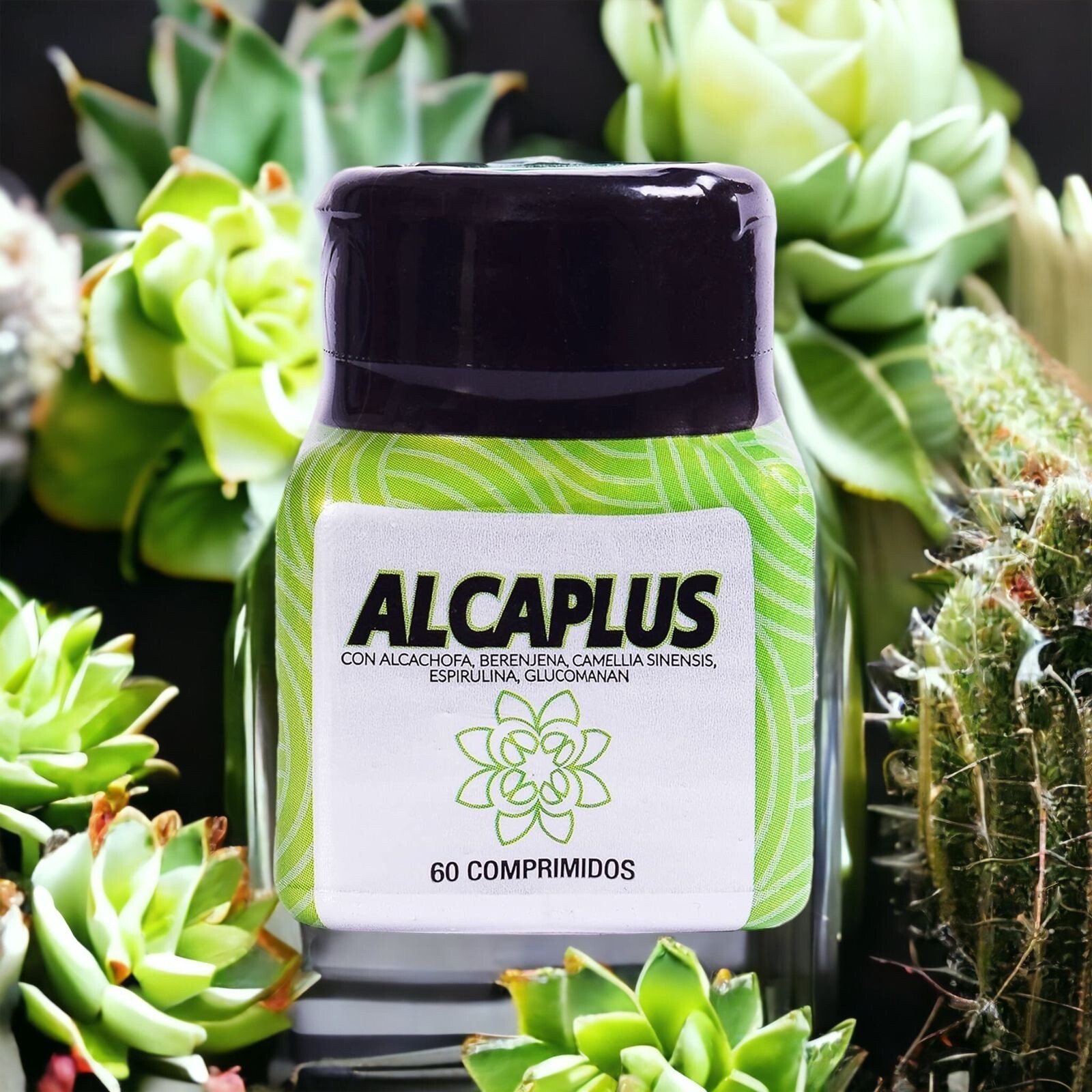 ALCAPLUS Free Gift High Performance Fat Burner Natural Weight Loss
