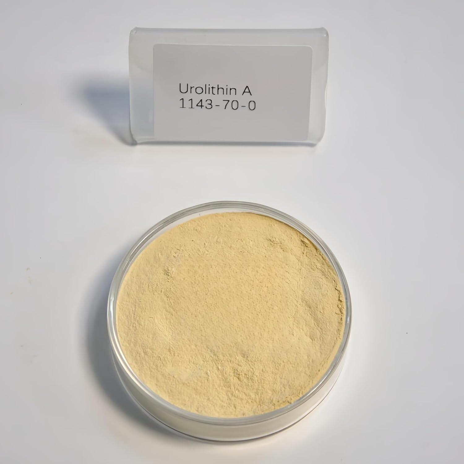 Energy Amplifier for Vitality – Mitochondrial Support Powder