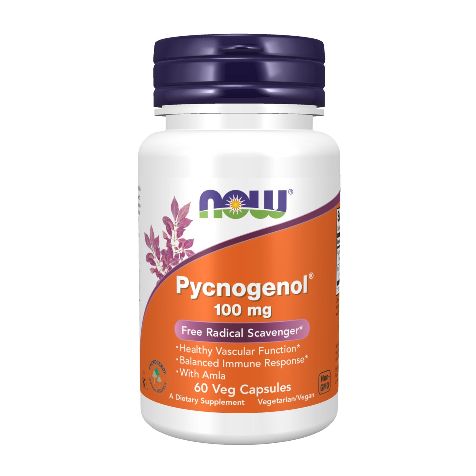 NOW Foods Supplements, Pycnogenol 100 mg (a 60 Count (Pack of 1), Light Brown