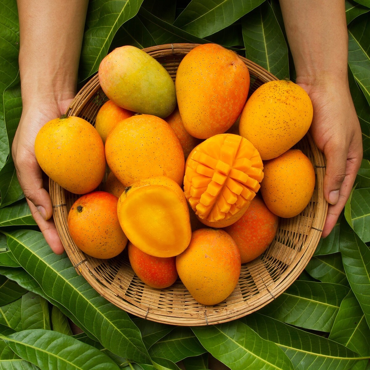 organic african mango – AFRICAN MANGO EXTRACT 1000mg – Antioxidant supplement -3