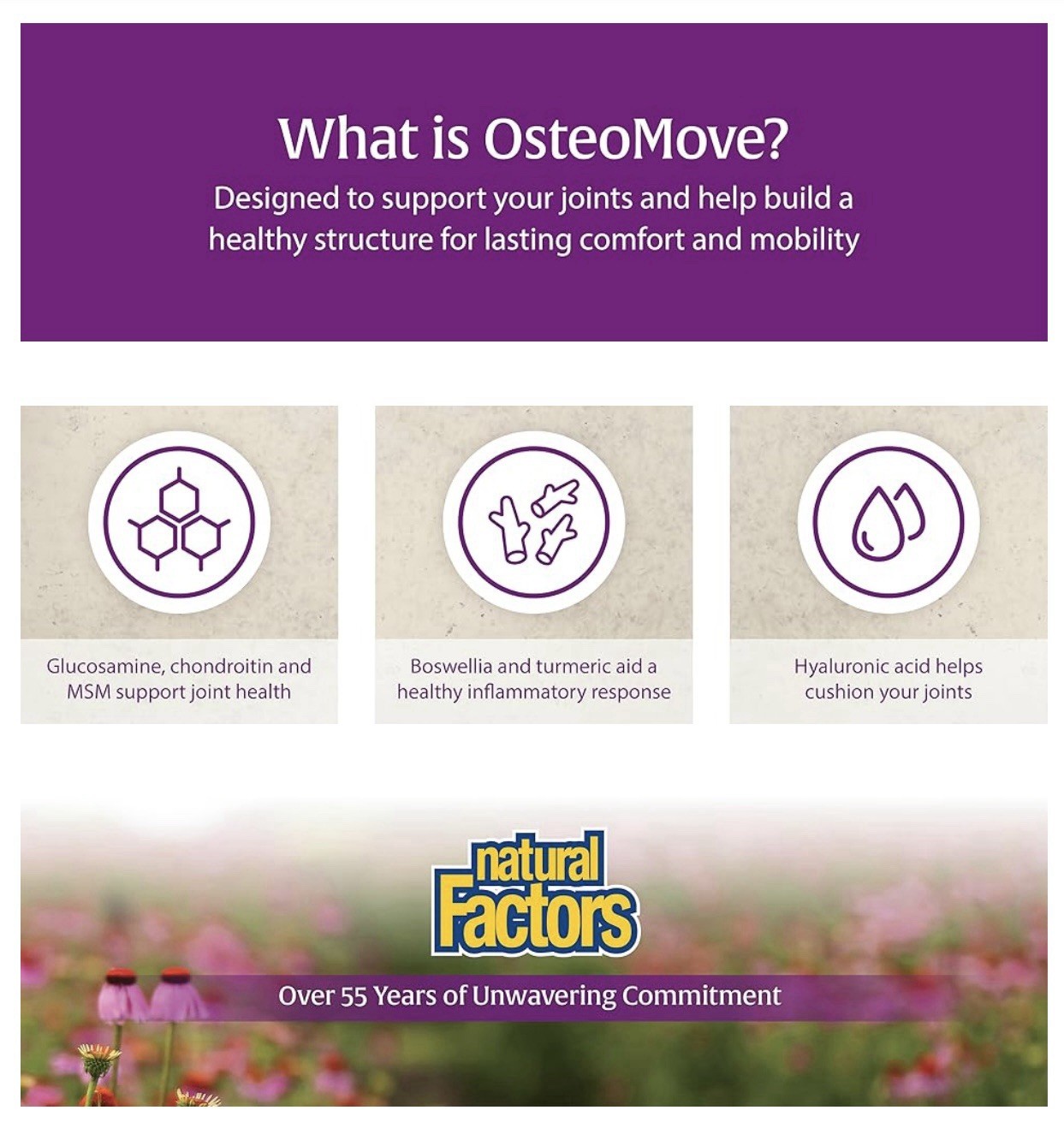 Natural Factors OsteoMove Extra Strength Joint Care 120 Tabs, BB: 05/2029 SEALED
