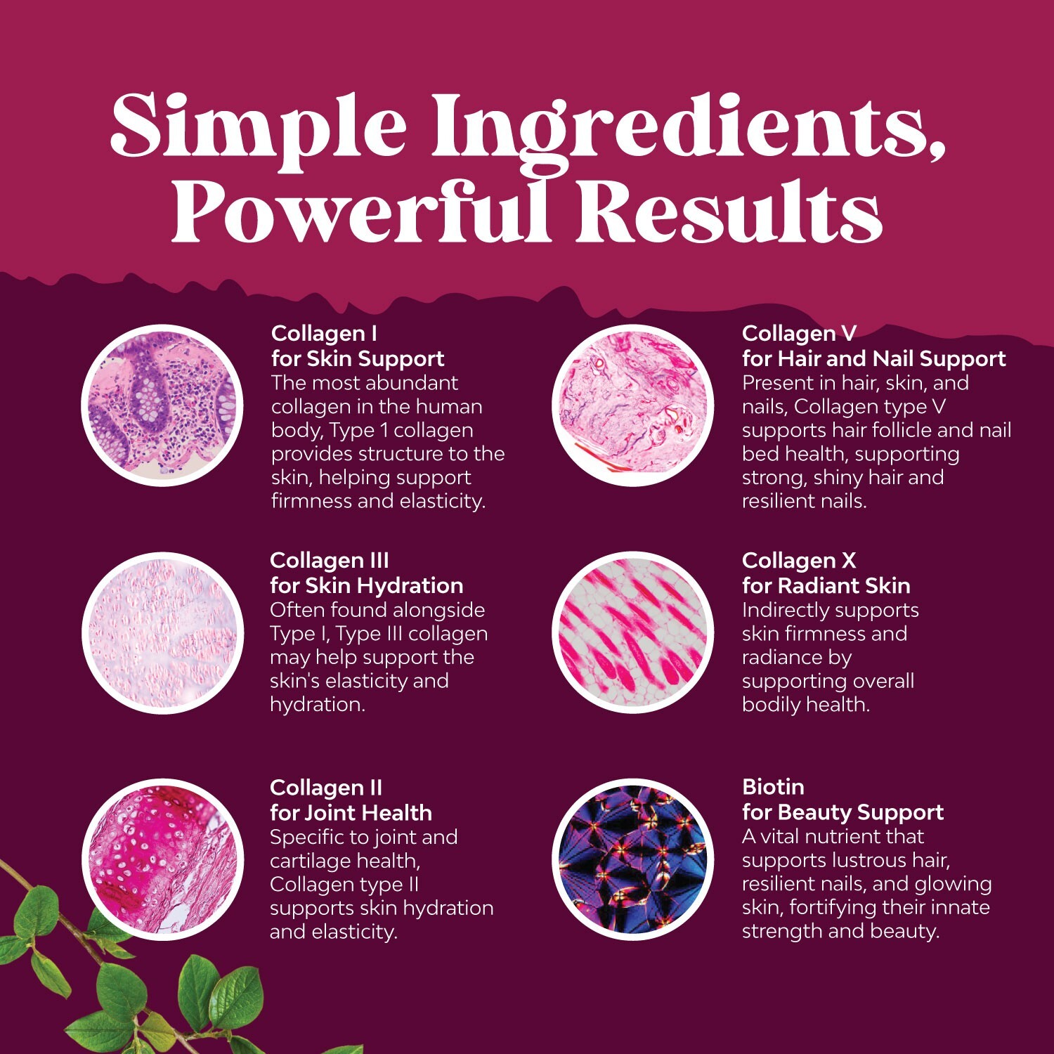 Advanced Multi Collagen Complex – Biotin and Collagen Supplement