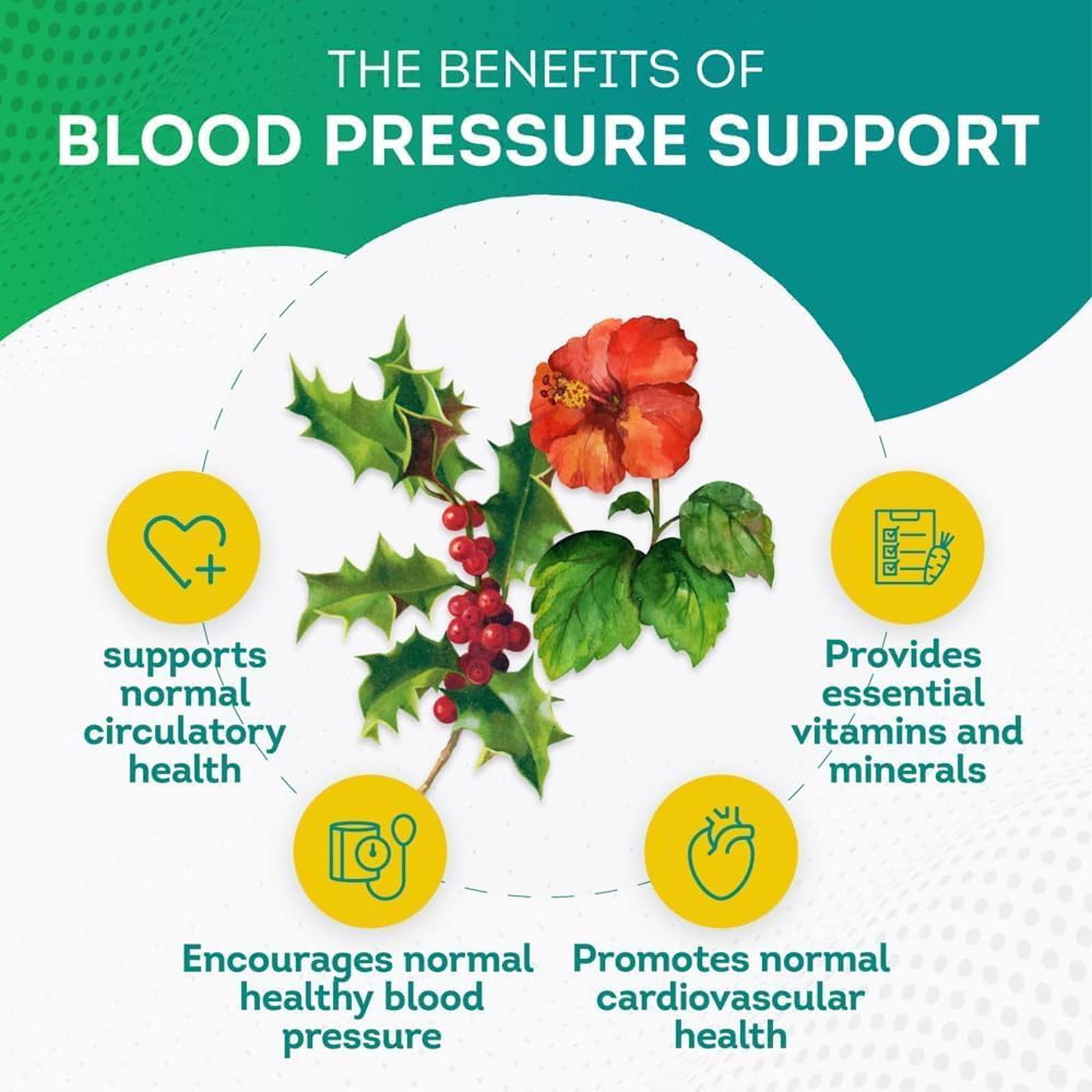 Blood Pressure Support – Maintaining Healthy Blood Pressure Levels, Heart Health