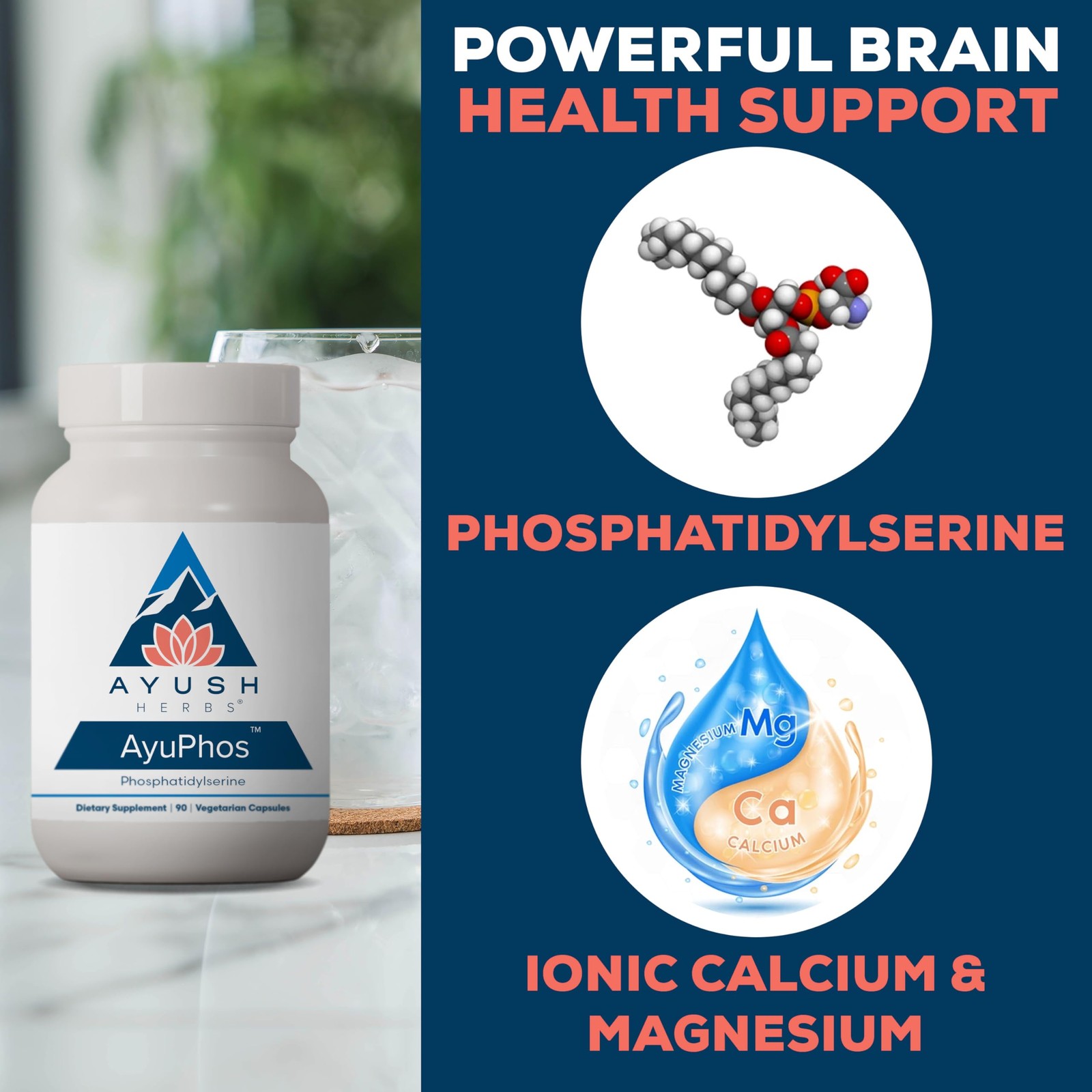 Ayush Herbs Ayuphos – Phosphatidylserine Supplement For Men Women Soy-Free