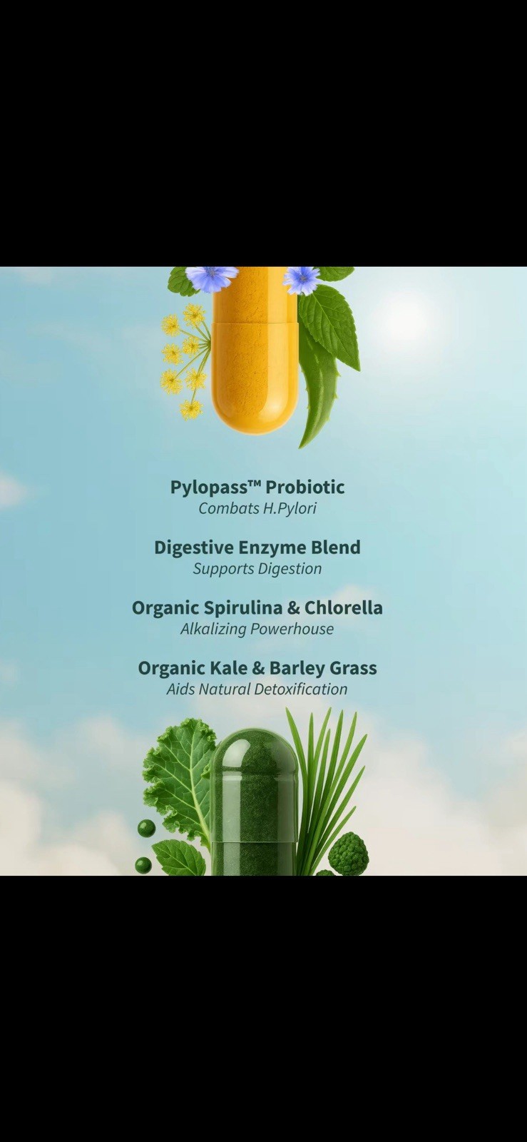SNAP Gut Health Digestive Support 50 + Spirulina Chlorella 60 Vegan Exp 04/2027