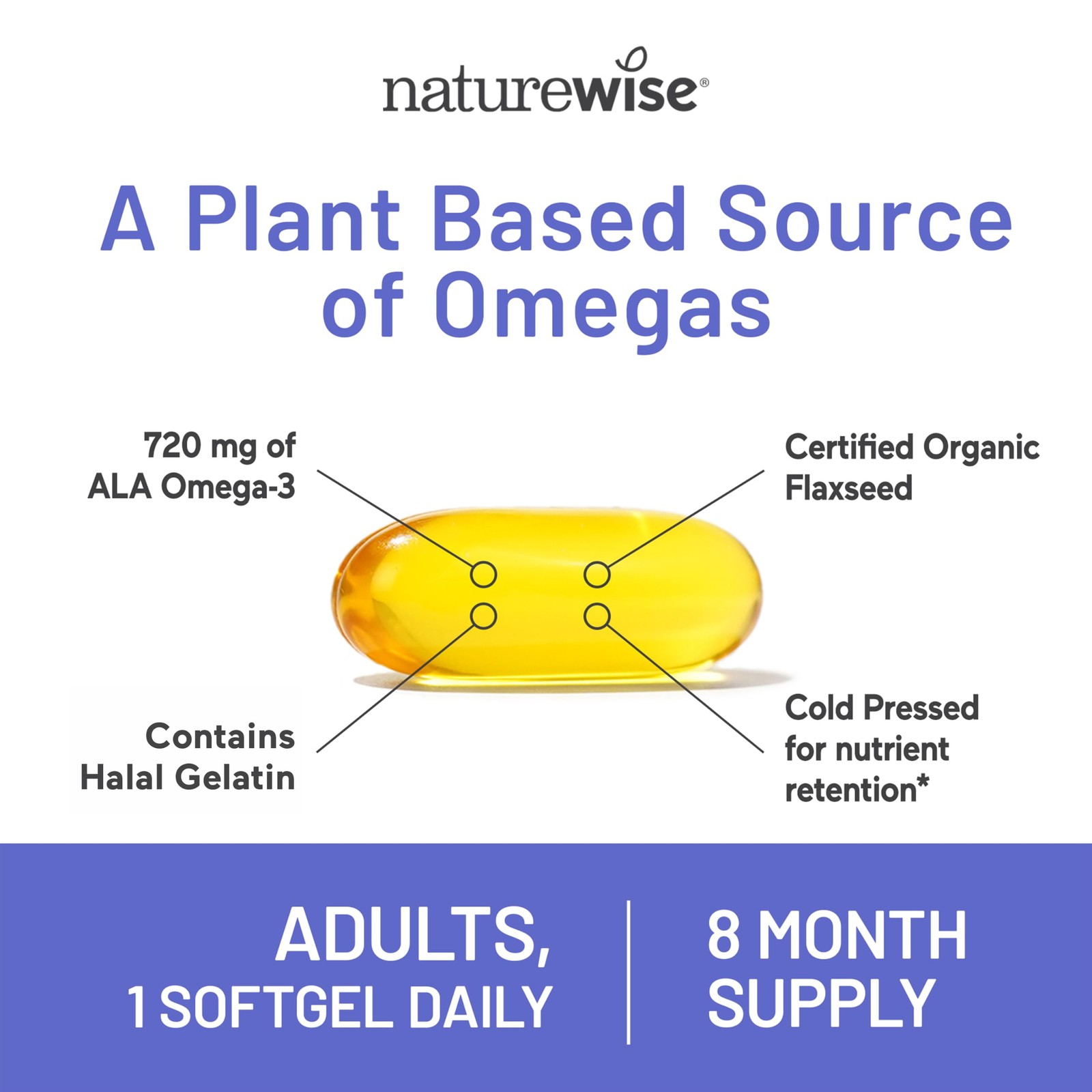 NatureWise Flaxseed Oil 1200 mg, Fish Free Omega 240 Count (Pack of 1), Honey