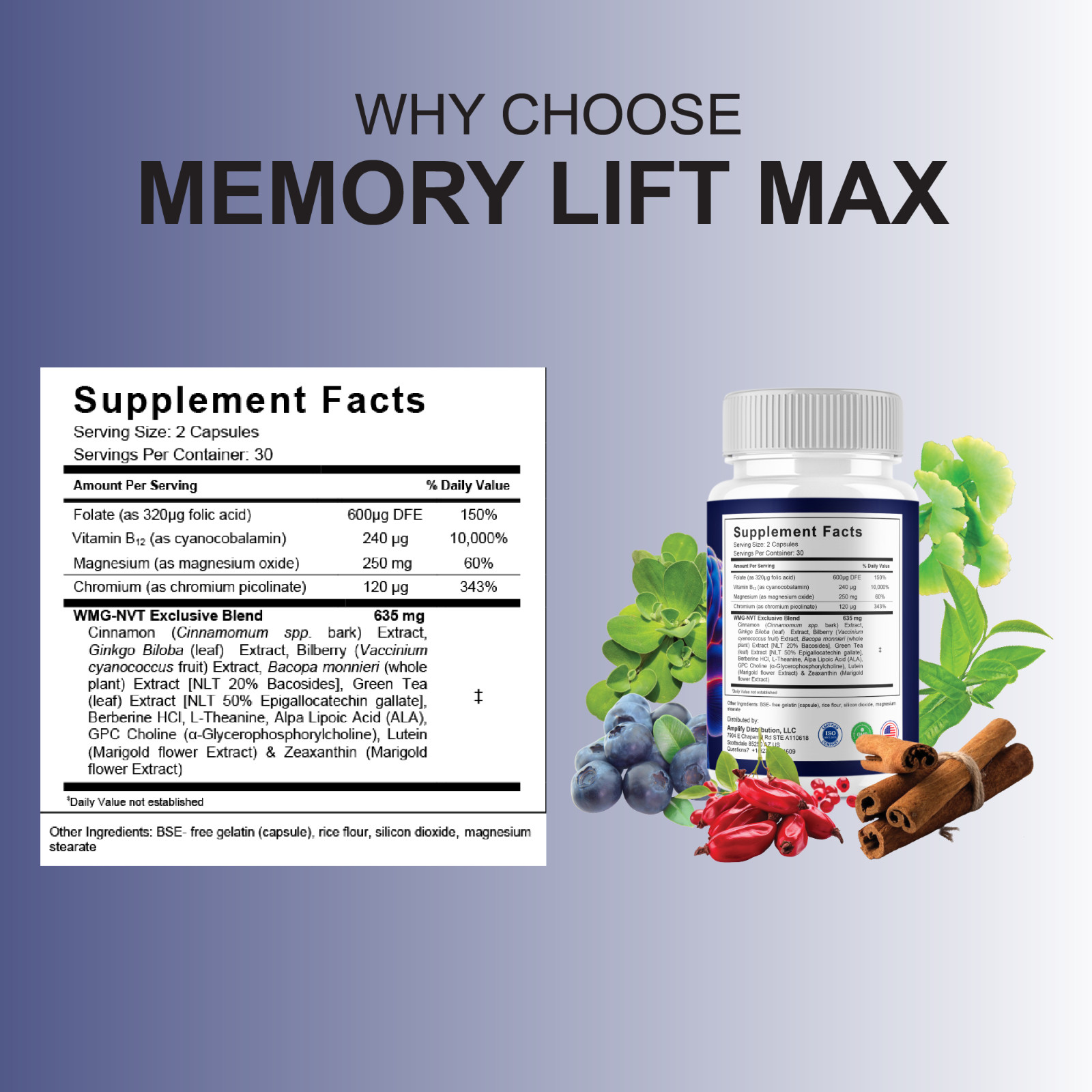 (5 Pack) Memory Lift Max Supplement, MemoryLift Nootropic Pills (300 Capsules)