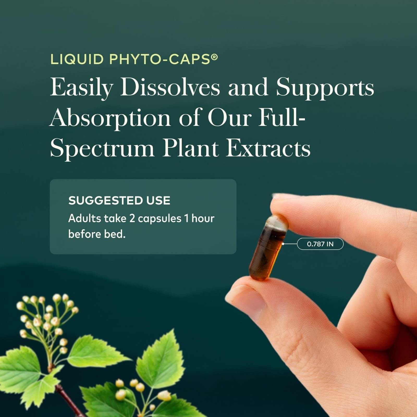 Valerian Root Extract for Calm & Relaxation – 60 Vegan Liquid Phyto-Caps