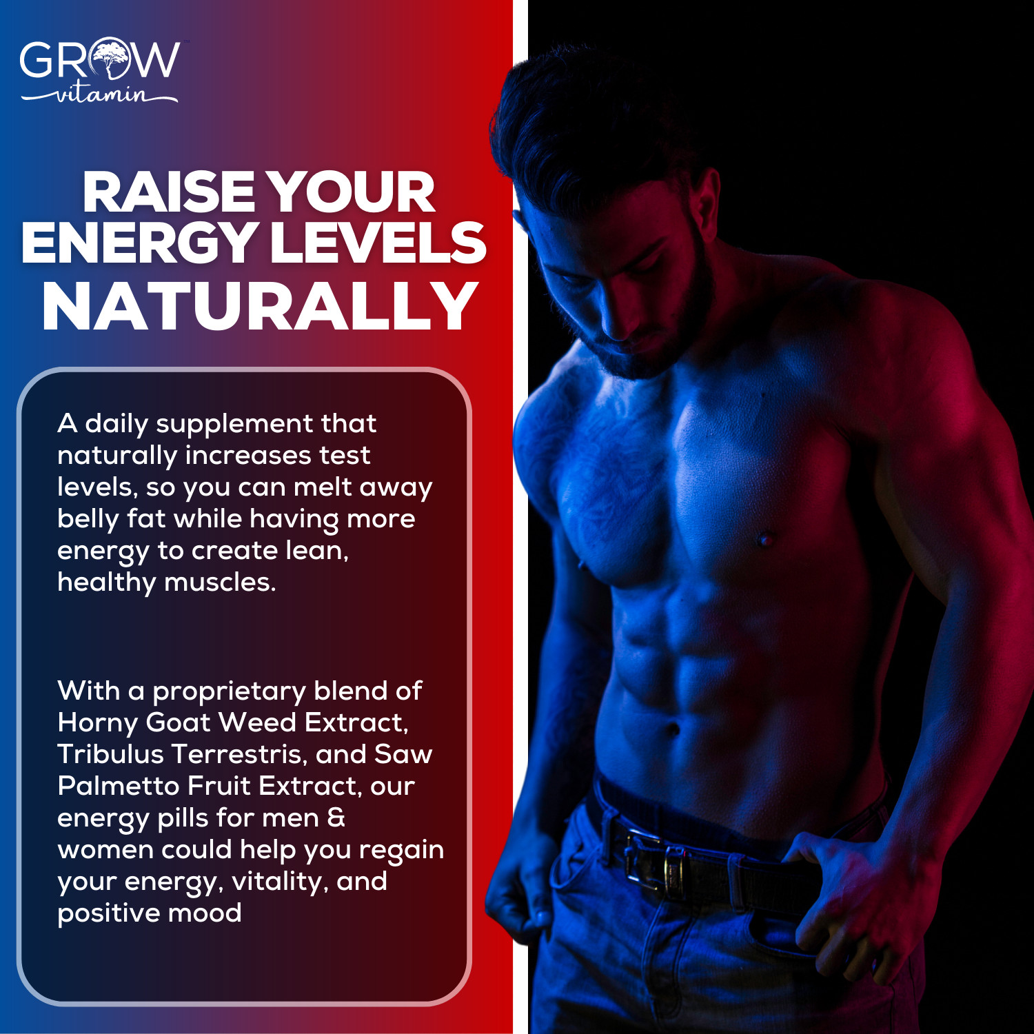 Grow Factor Test X60 Boost, Testosterone Booster for Men, Testosteron Pills
