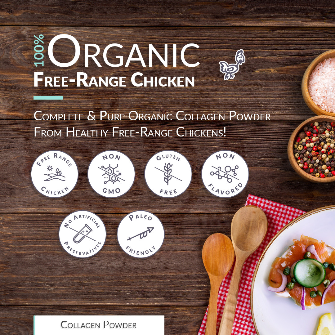 Chicken Bone Broth Collagen Powder – Pure & Organic – Free-Range (1LB / 453g)
