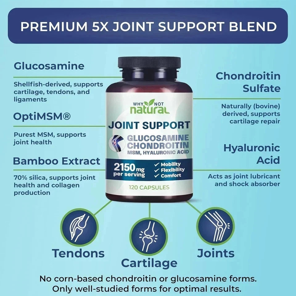 Why Not Natural Glucosamine Chondroitin MSM–Joint Support for Mobility & Comfort