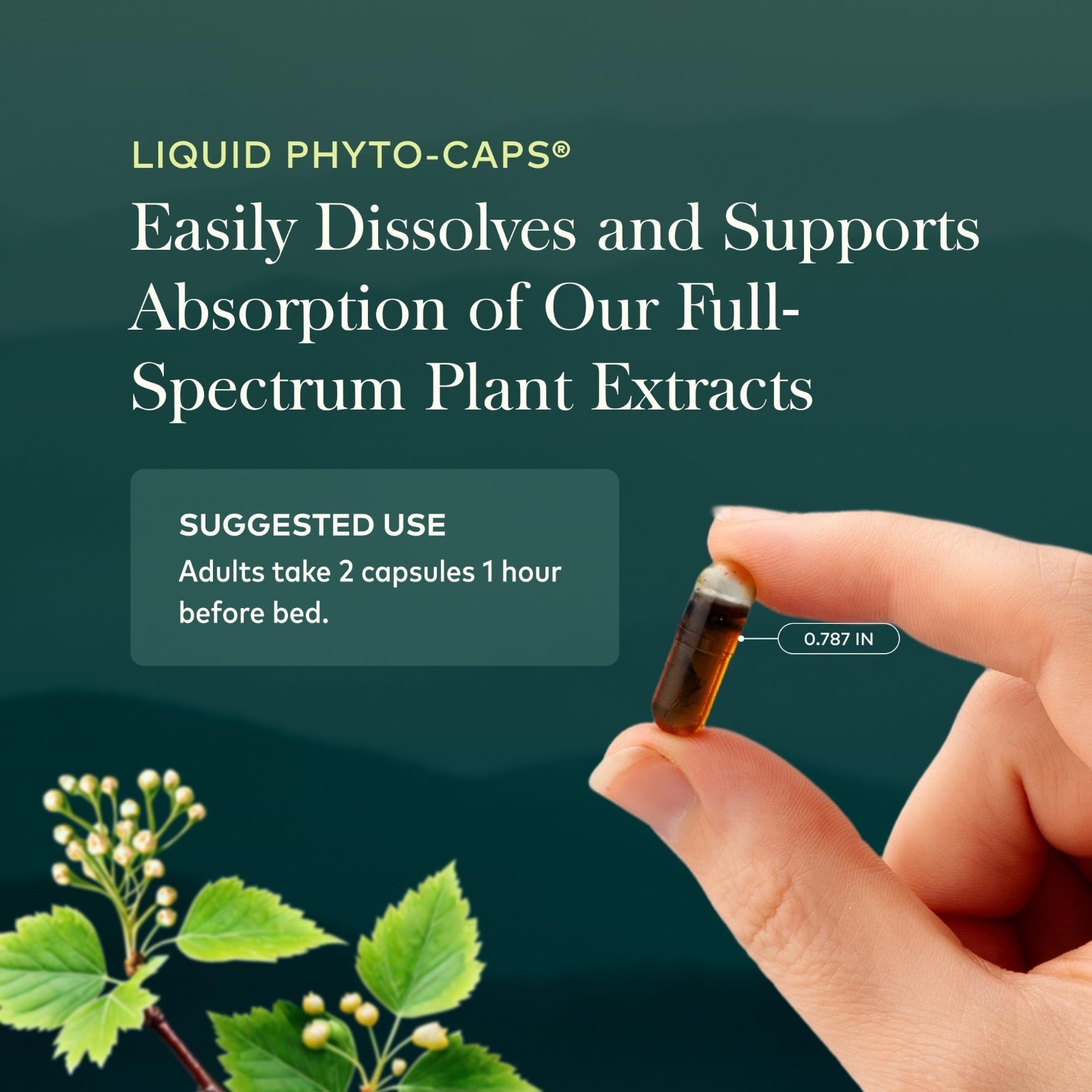 Valerian Root Extract for Calm & Relaxation – 60 Vegan Liquid Phyto-Caps