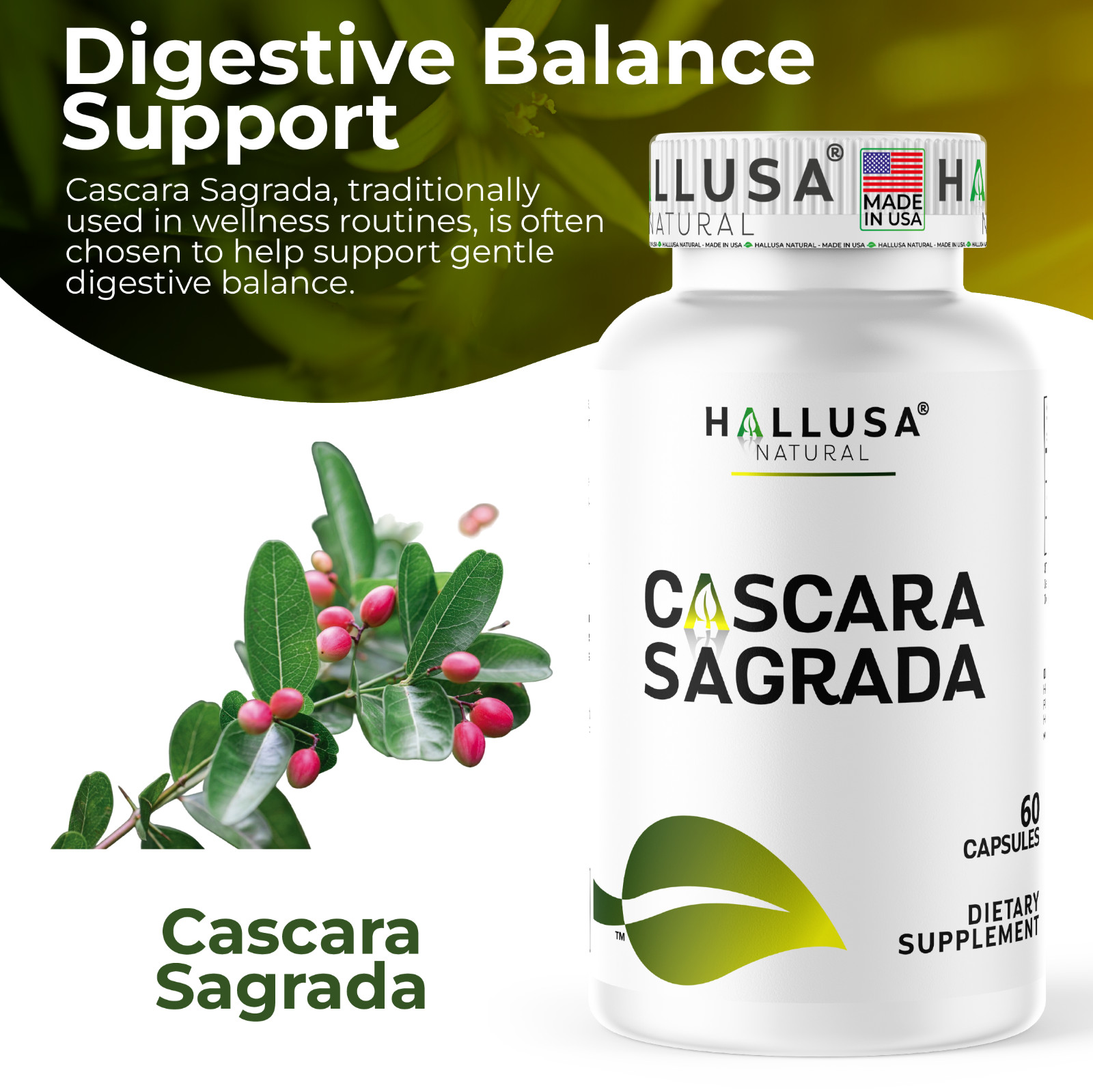 CASCARA SAGRADA – Natural Laxative – Digestive & Metabolism Support – 60 Caps
