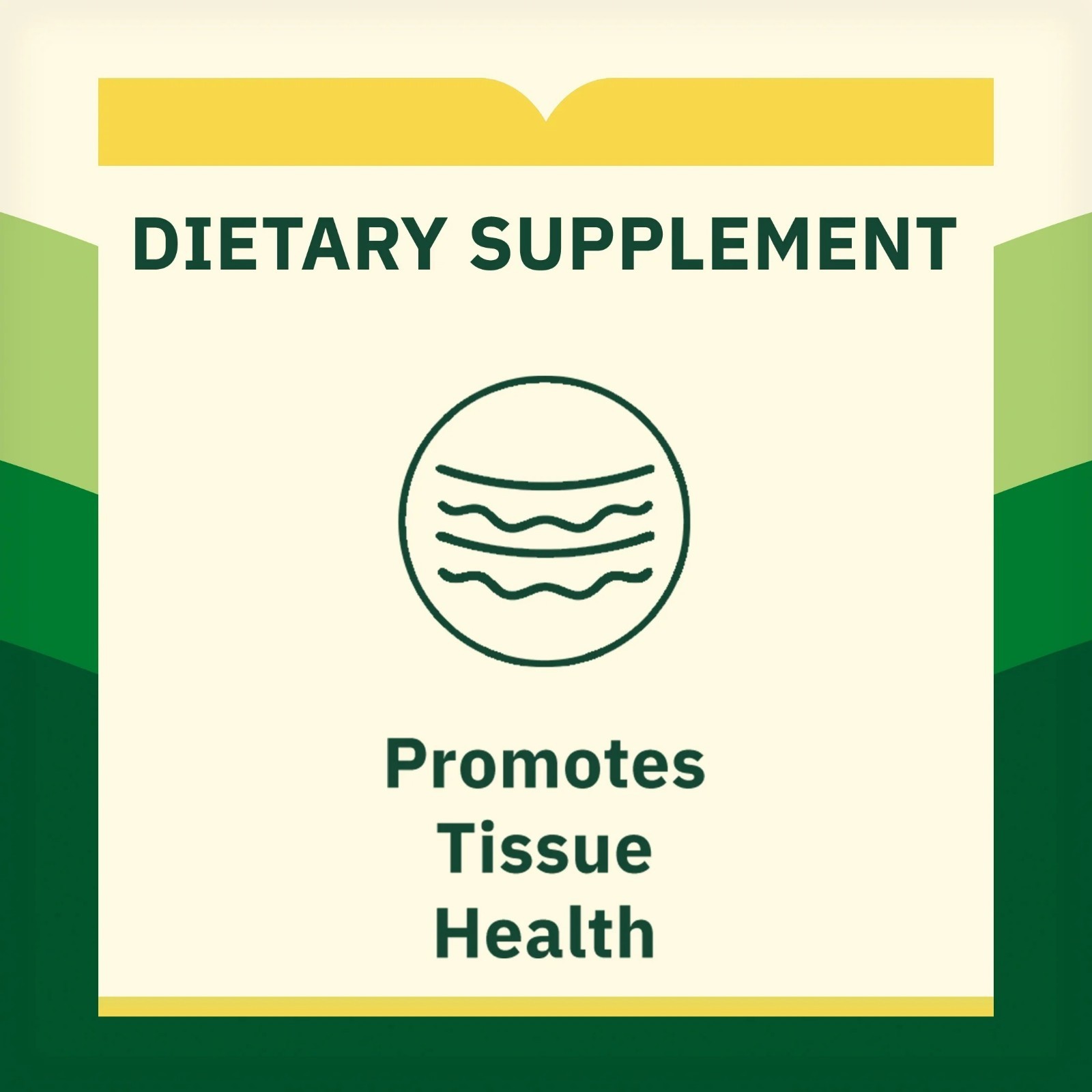 (Pack of 2) Spring Valley L-Lysine Dietary Supplements, 1000 mg, 100 Count