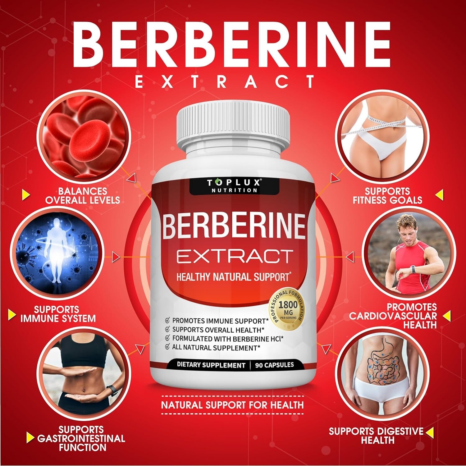 Berberine HCl 1800 MG Premium 90 CAPSULES- (Non-GMO, Gluten Free Vegetarian)