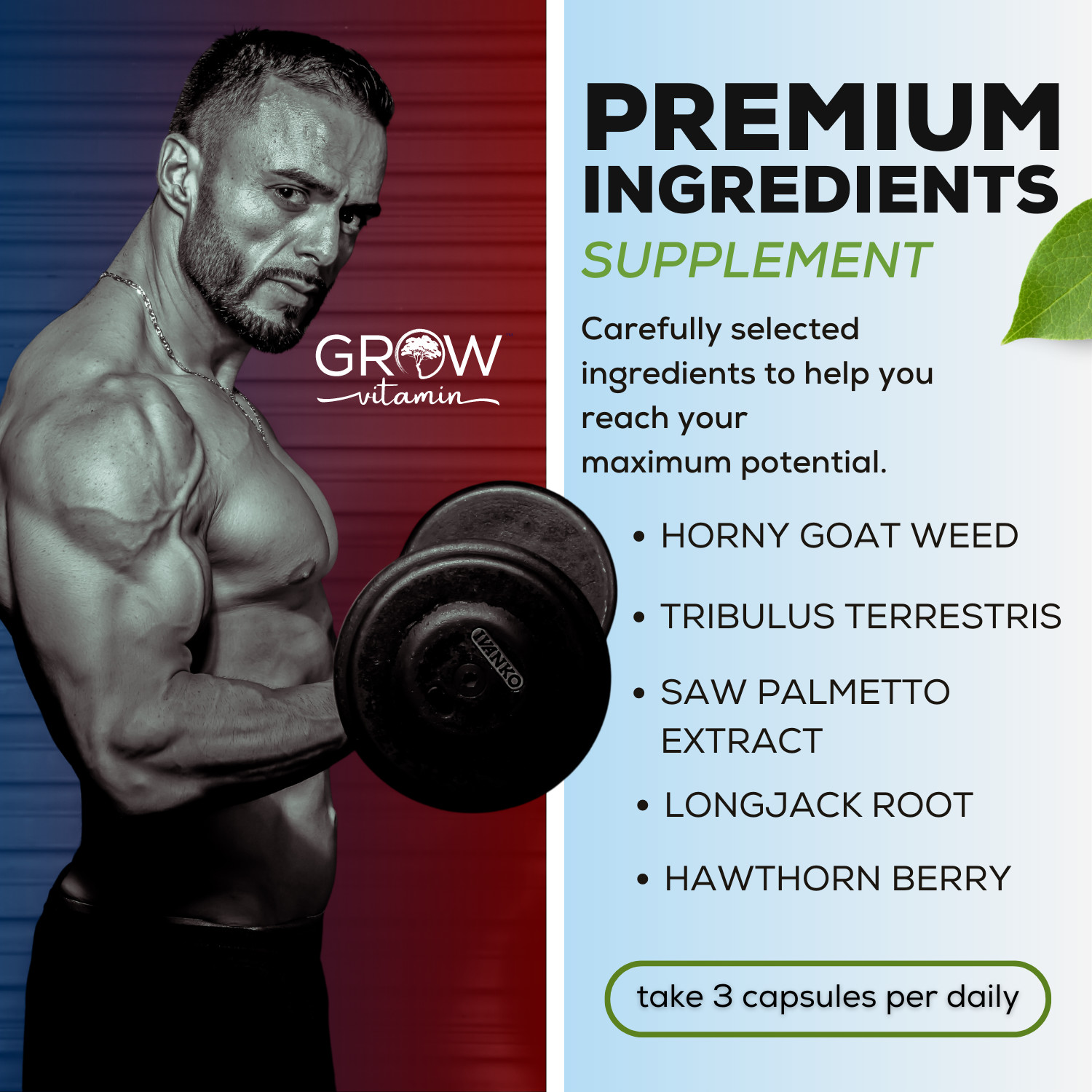 Grow Factor Test X60 Boost, Testosterone Booster for Men, Testosteron Pills