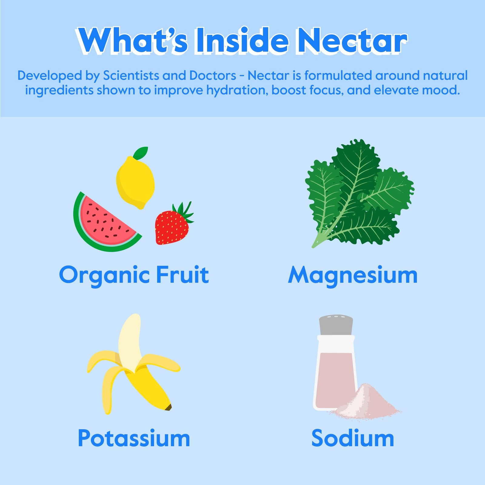 Nectar Hydration Packets – Electrolytes Powder 30 Servings (Pack of 1)
